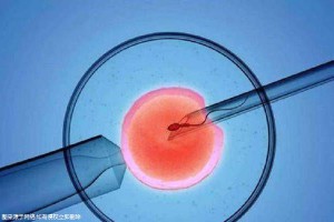 生殖医学科